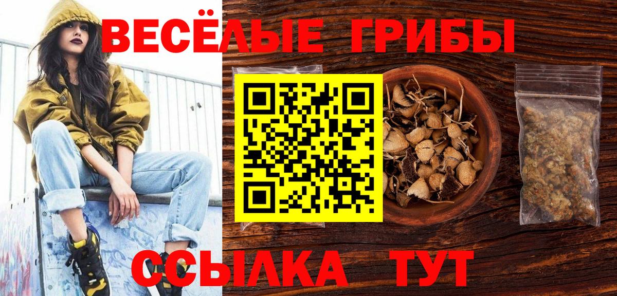 Галлюциногенные грибы Magic Shrooms  Вход с VPN  Заволжье  Псилоцибиновые грибы Cubensis 