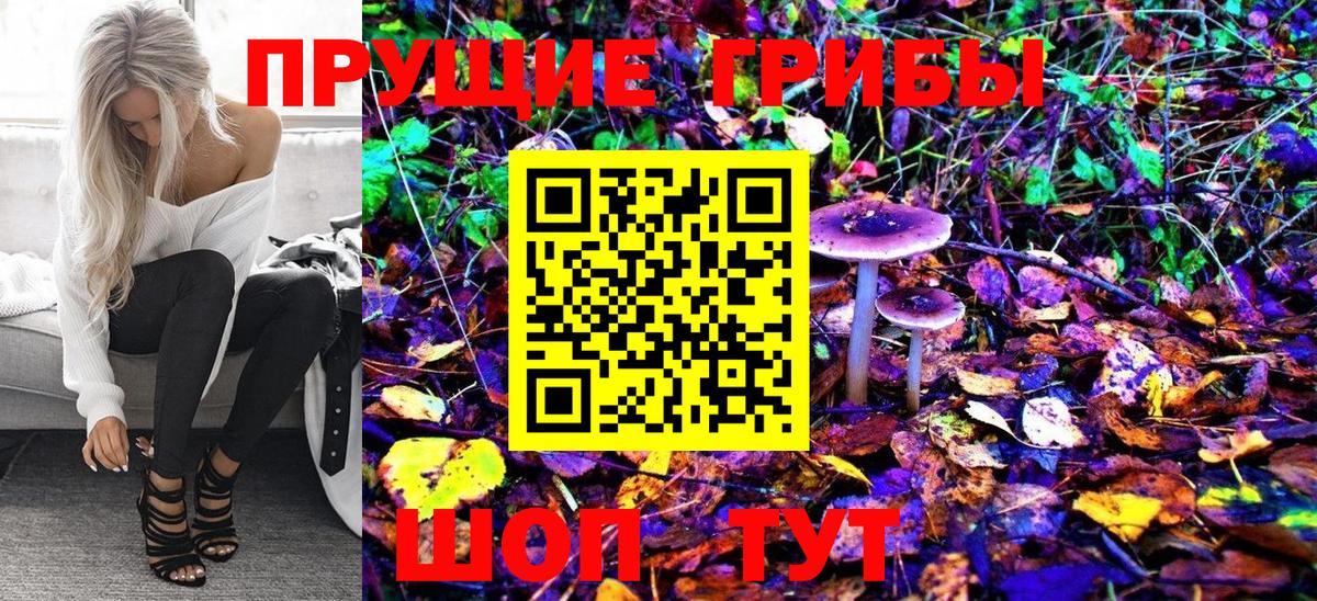 Галлюциногенные грибы Magic Shrooms Заволжье